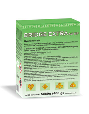 Bridge Extra